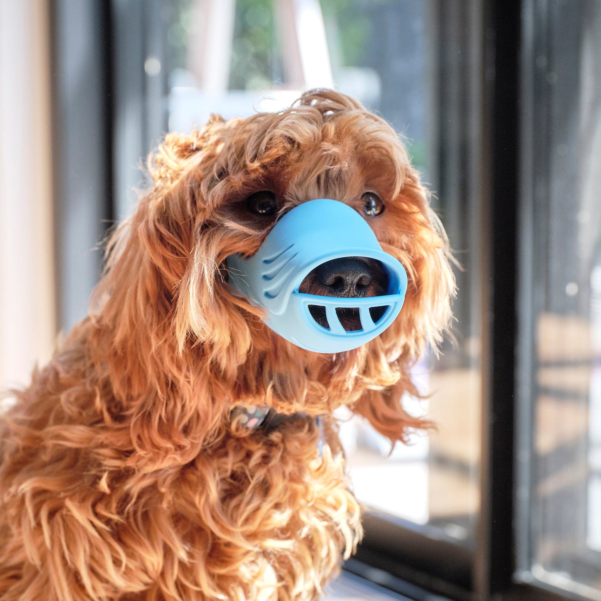 Breathable Dog Muzzle for Small, Medium Dogs Pet Control HQ