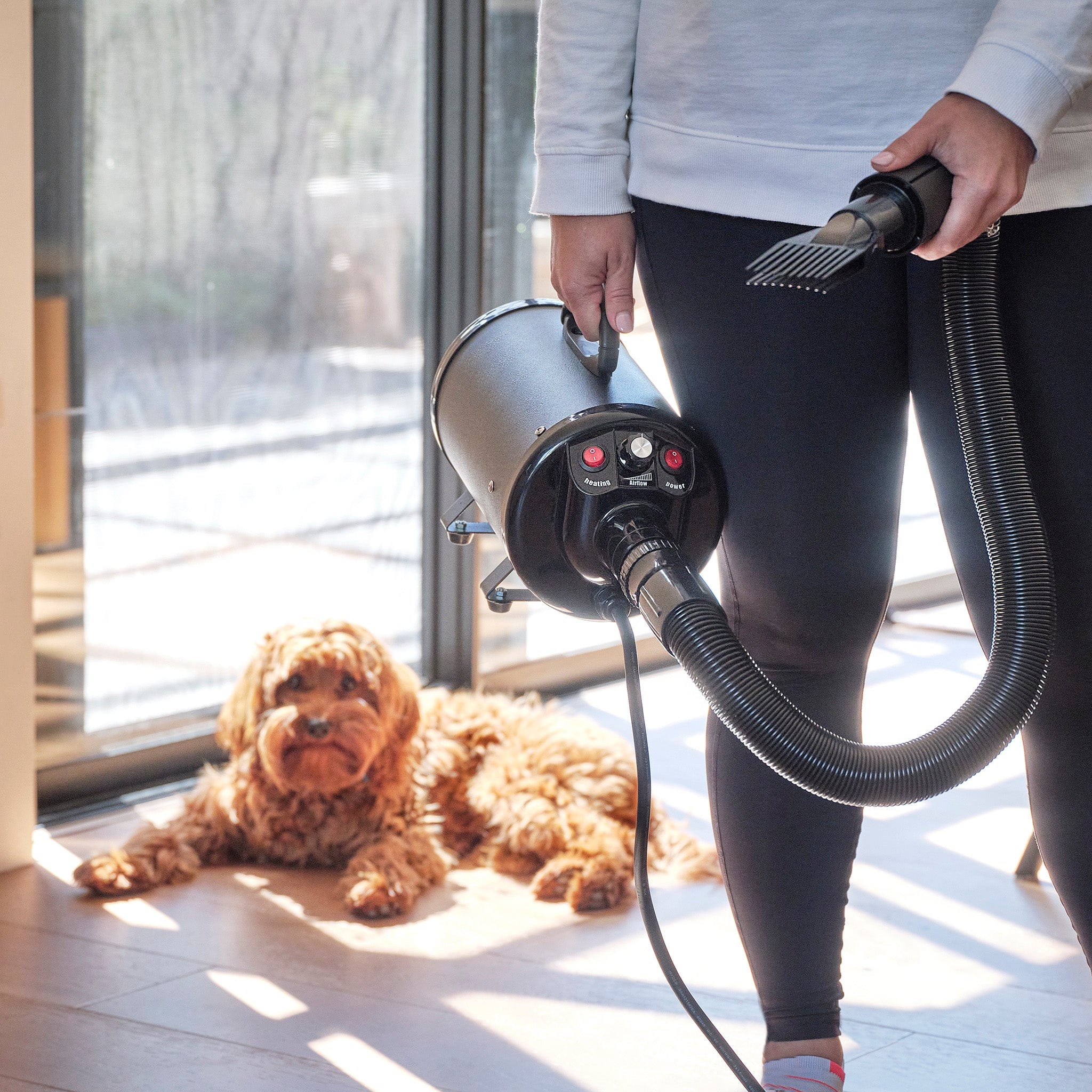 Dog Rooter 2800W Dog Hair Dryer Pet Grooming Blower