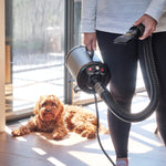 2800w professional dog grooming hairdryer blower