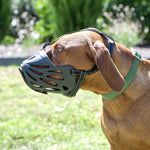large dog muzzle