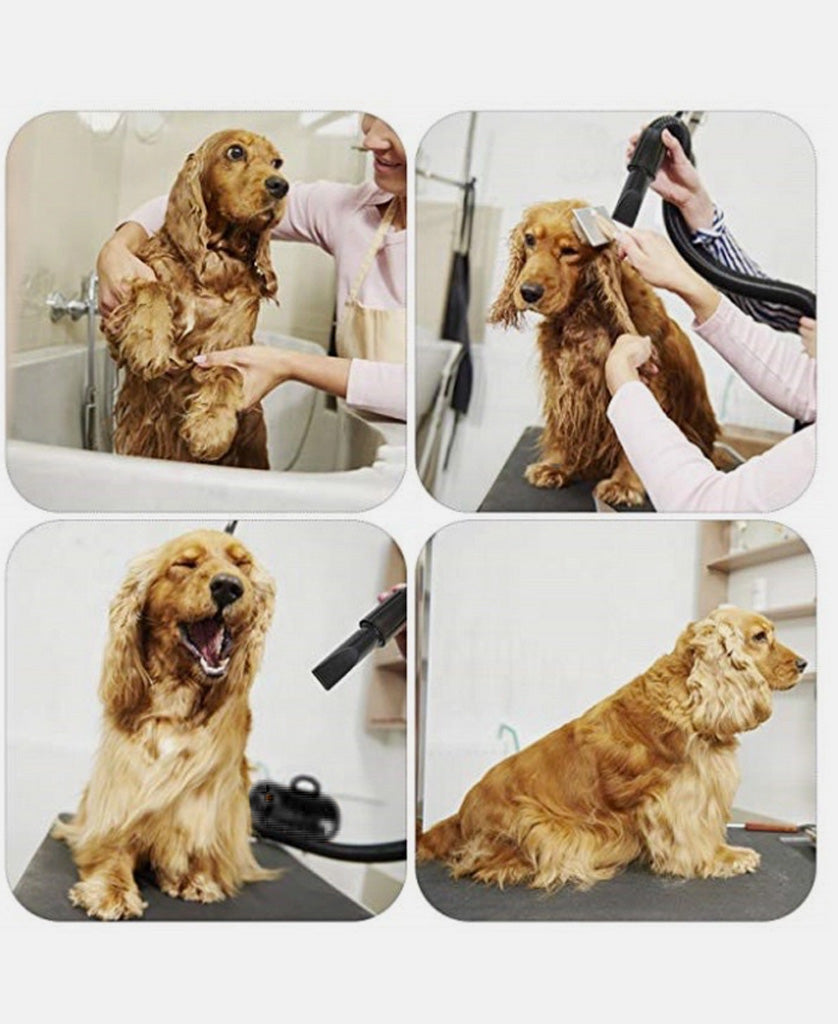 Bark Brite Dual Purpose Dog Paw Scrubber and Bath Brush