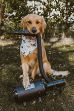 2800w professional dog grooming hairdryer blower