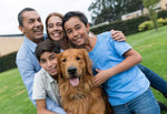 waterproof rechargeable electric dog fence