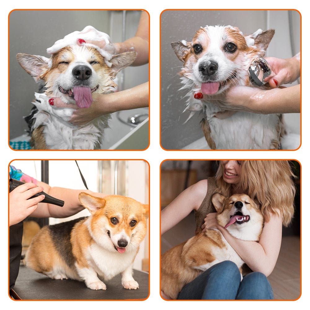 Undercoat Corgi Blowing Coat Professional Dog Grooming Kits: All