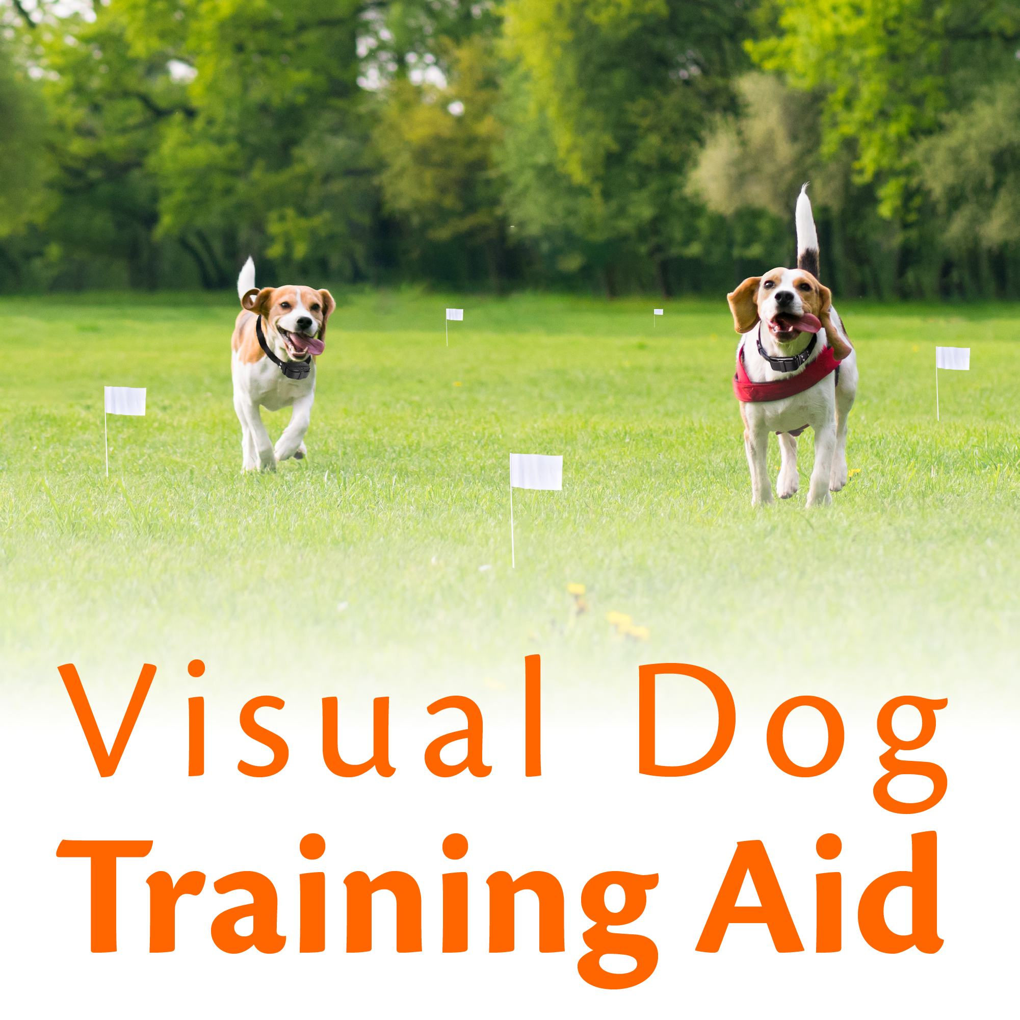 Electric dog fence flags clearance