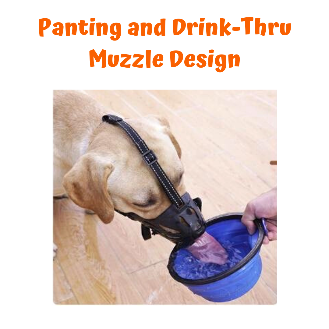 Dog muzzle that allows dog to on sale drink