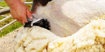 new 350w electric sheep shearing clippers shears