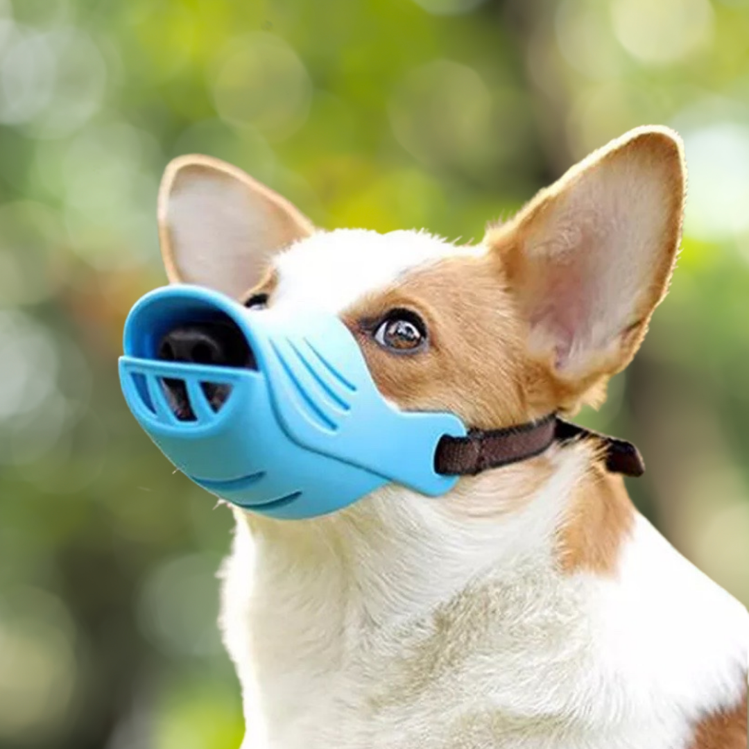Dog Muzzle Breathable Drink Thru Design Small Medium Dogs