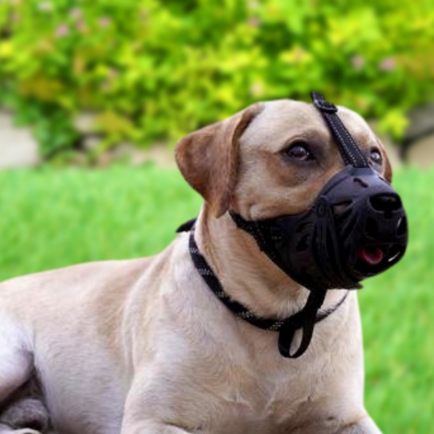 Dog Muzzle Breathable Basket Muzzle for Large Dogs