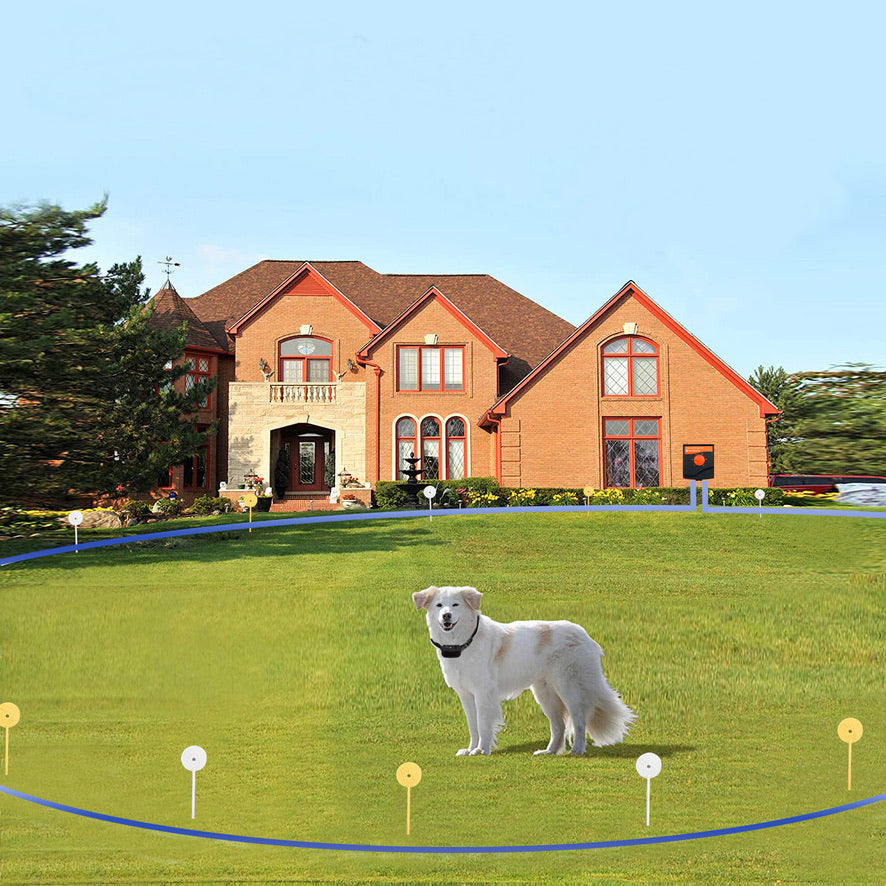 Lush Electric Perimeter Dog Fence Wallpaper in HD Lush Electric Perimeter Dog Fence Wallpaper in HD