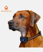 pet control hq extra collar for remote citronella anti bark spray dog trainer