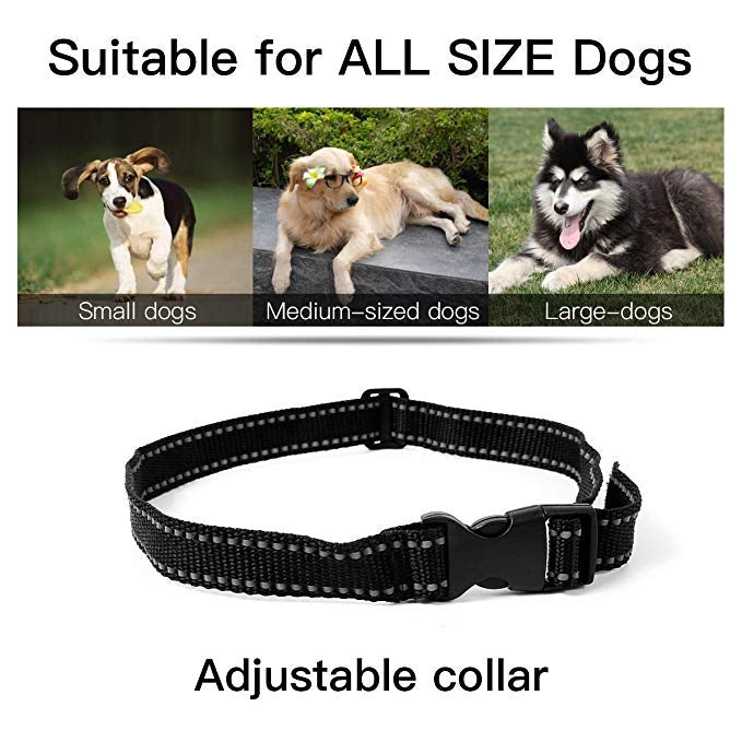 Pet electric collar clearance