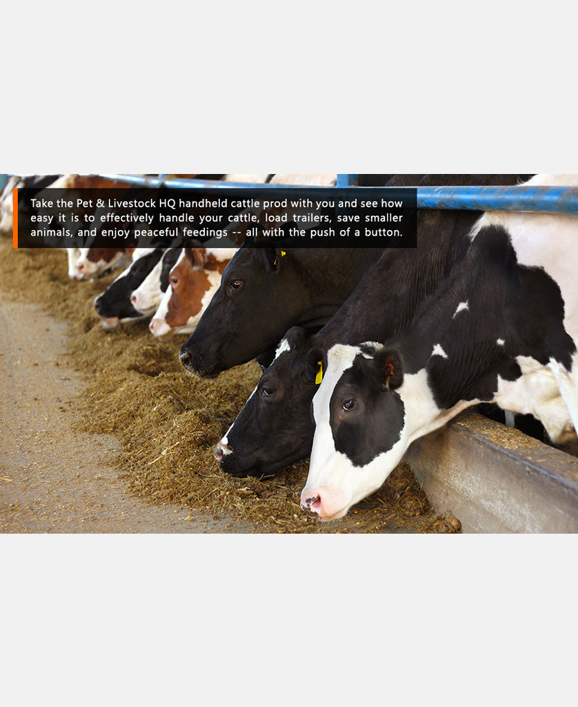 Cattle Prodded Handheld Battery Electric Cattle Prodder | Buy Now – Pet Control HQ