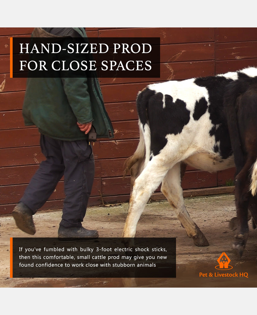 Prodder 4000V Handheld Battery Electric Cattle Prodder | Pet Control HQ