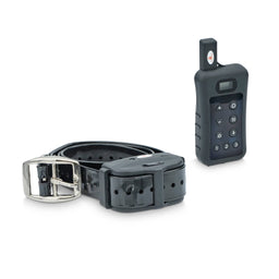 waterproof remote dog training collar long range