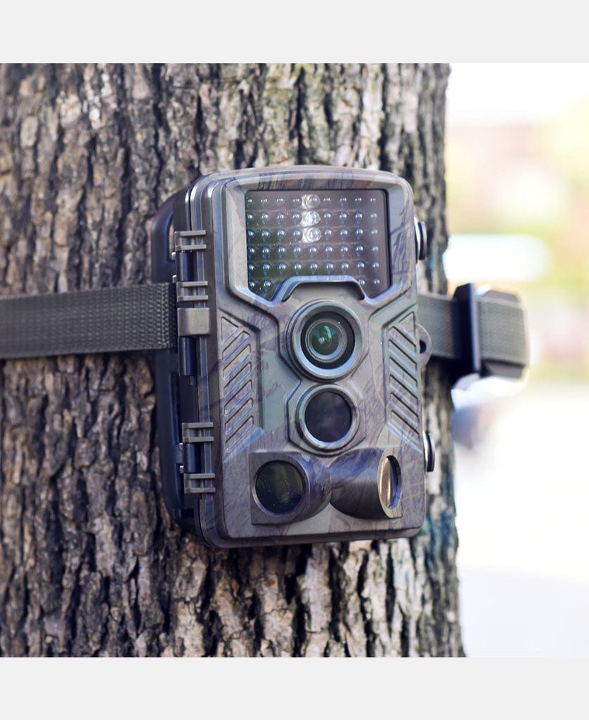 Solar Powered Trail Camera for Wildlife Watching Security